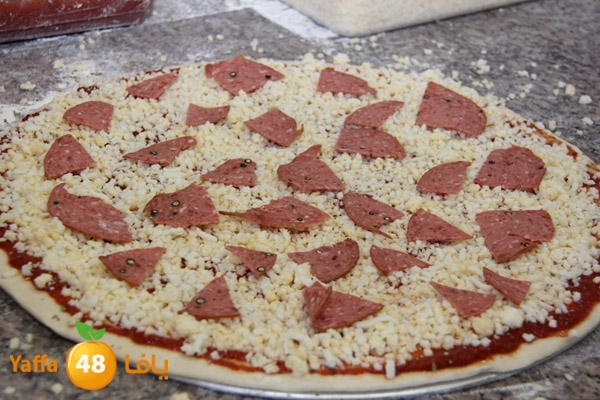 piece of pizza (7).JPG